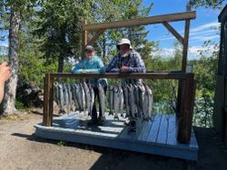 Discover the Thrill of Trout Fishing in Kenai